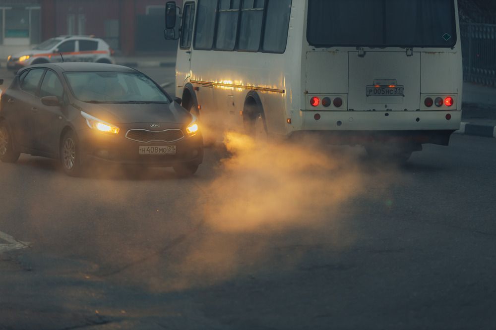 Photograph by Виталий Хромычев