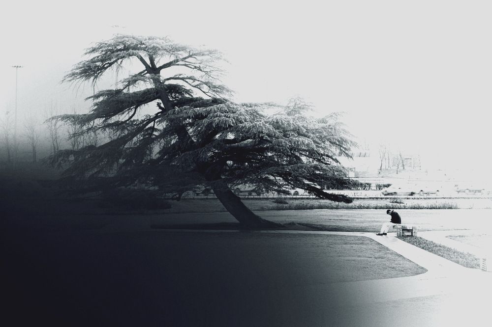 Photograph by Sahar