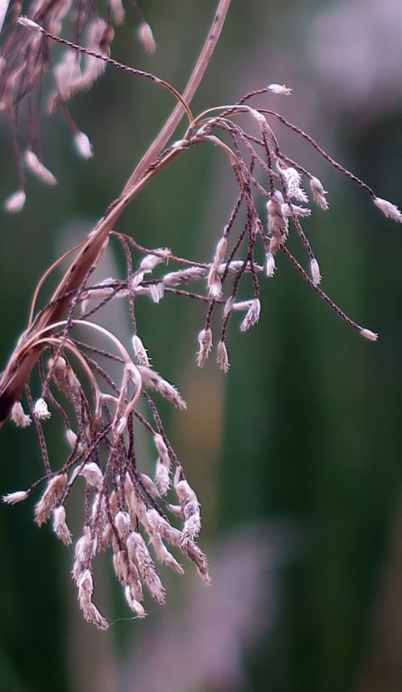 Photograph by Nadia Kushnir