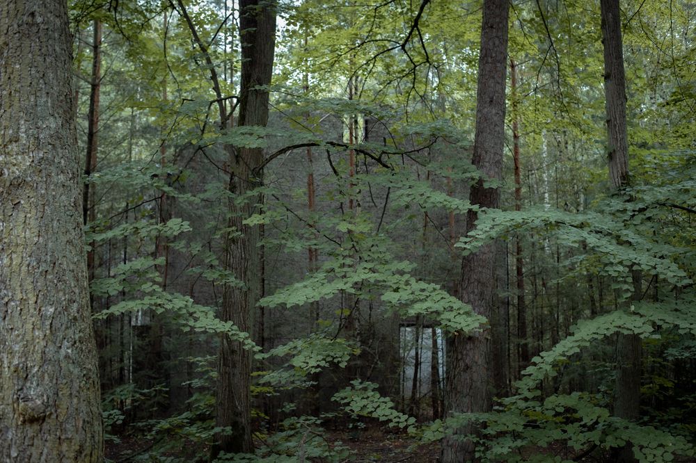 Photograph by Yana Kaziulia