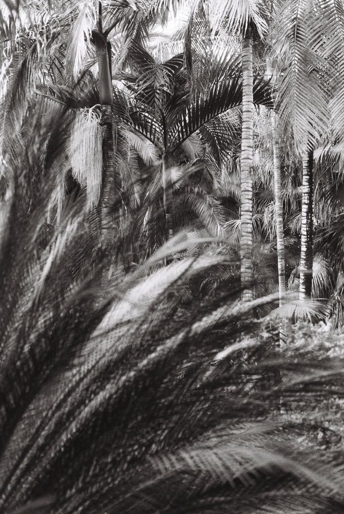 Photograph by Yana Kaziulia