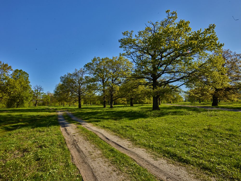 Фотография автора Игорь Дьяченко