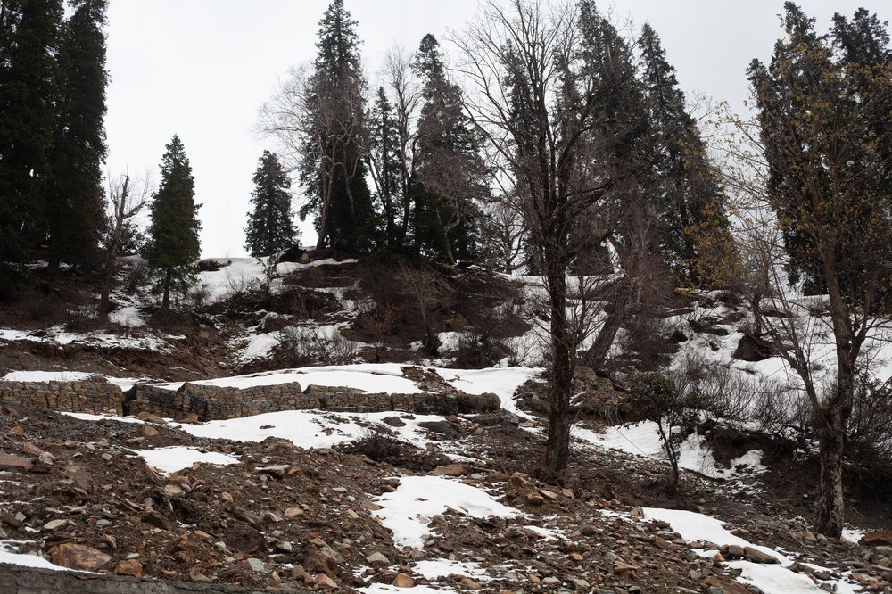 Фотография автора Khoushal Beedasy