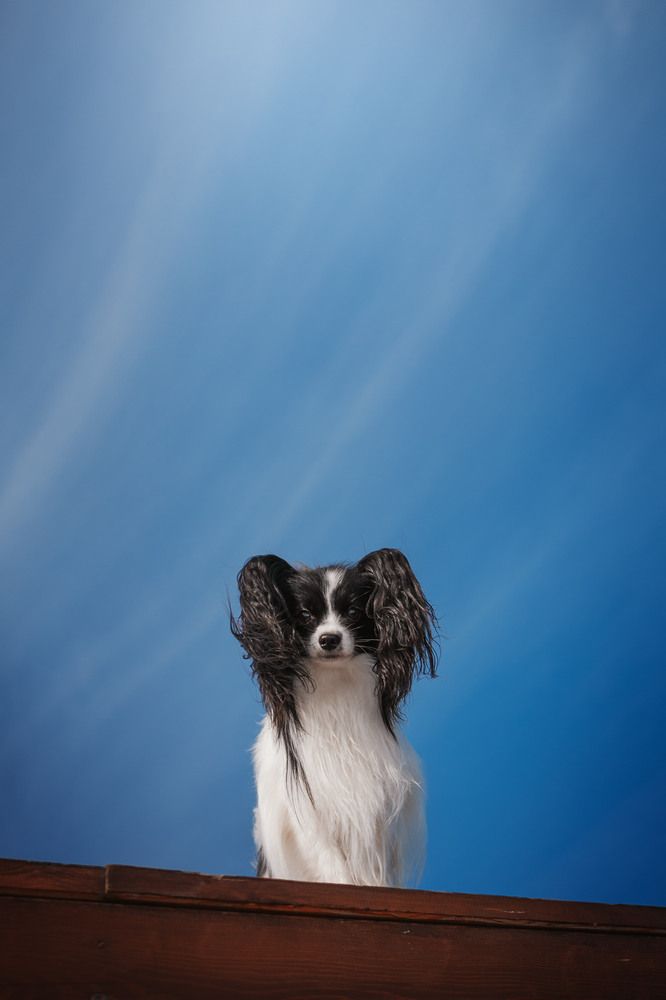 Photograph by Анна Кузнецова