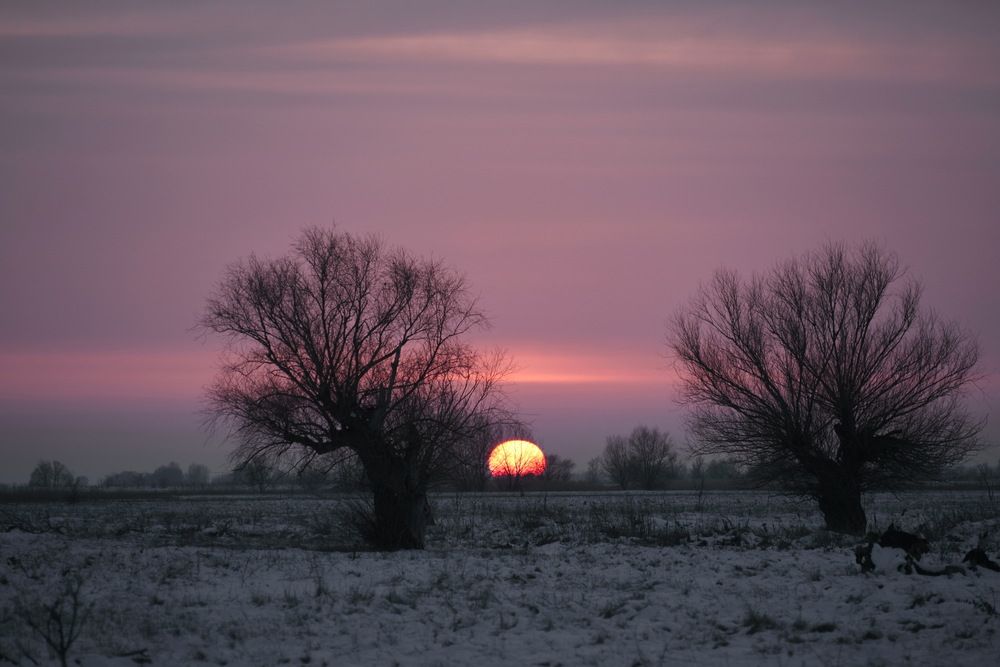 Фотография автора Медведев Сергей