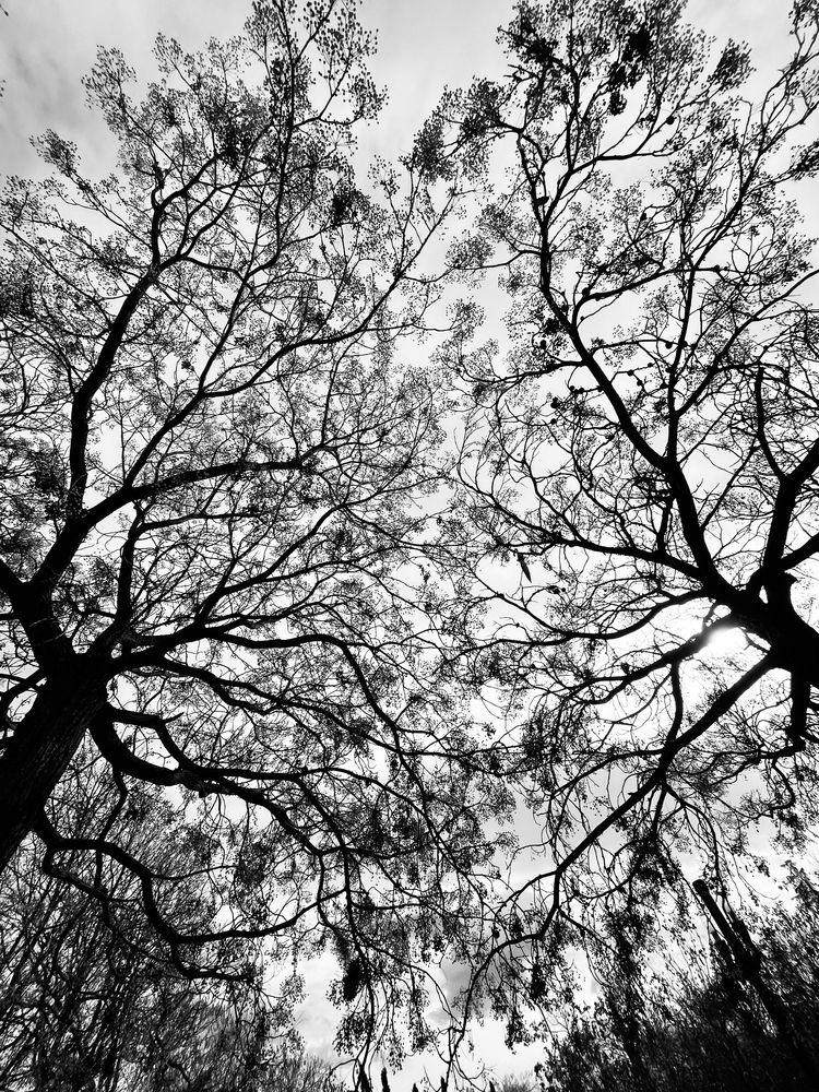 Photograph by Балахонова Галина