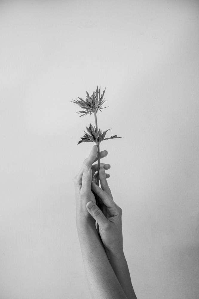 Фотография автора Оксана Мерзликина