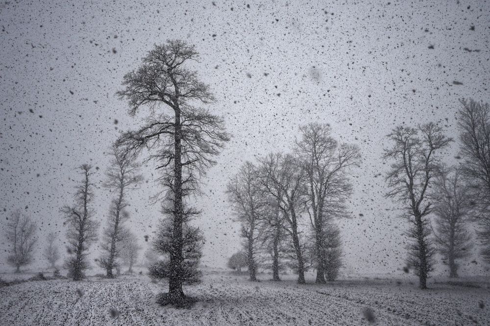 Photograph by mehdi mohebi pour