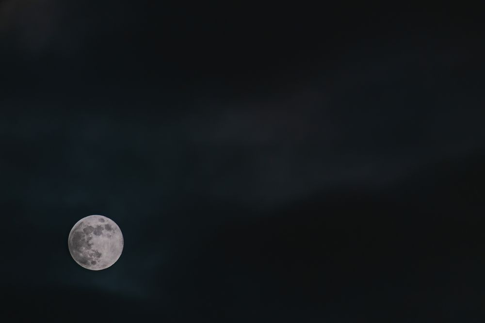 Photograph by Михаил Косолапов