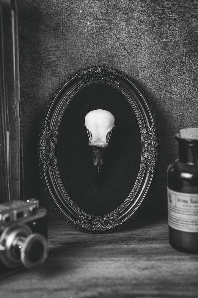 Photograph by Bogdan Tarasov