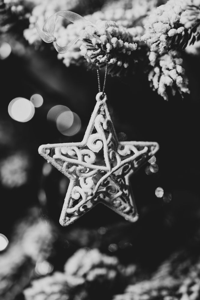 Photograph by Bogdan Tarasov