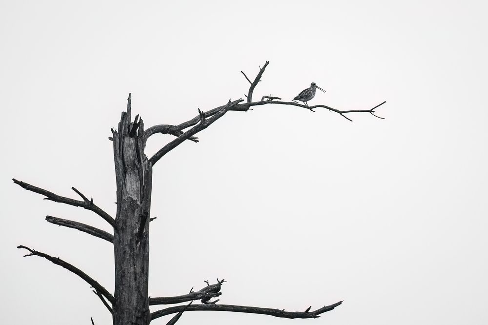 Фотография автора Patryk Kurc