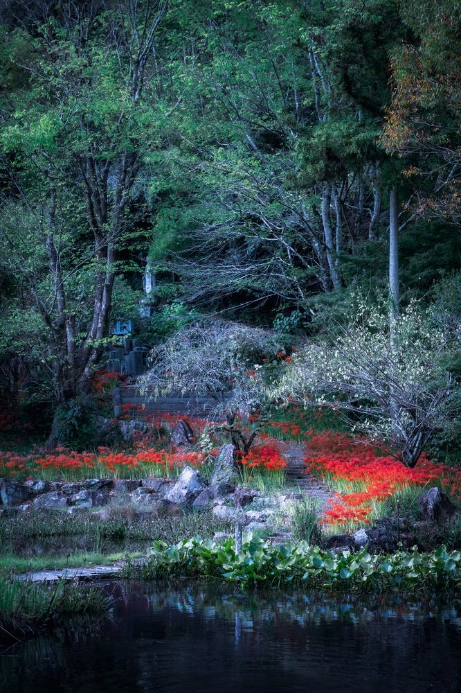 Фотография автора tunemori