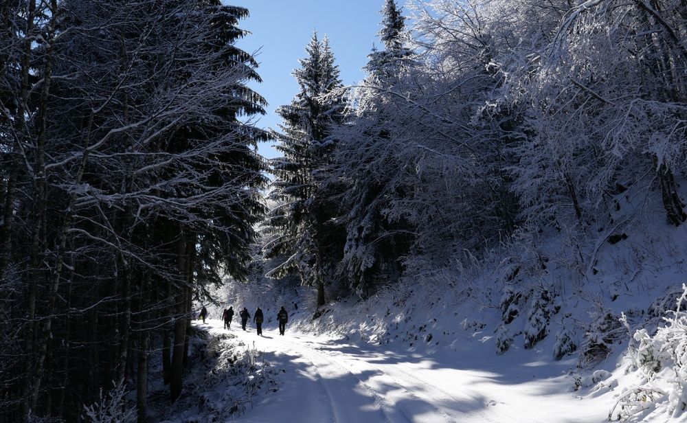 Photograph by Елена Агапкина