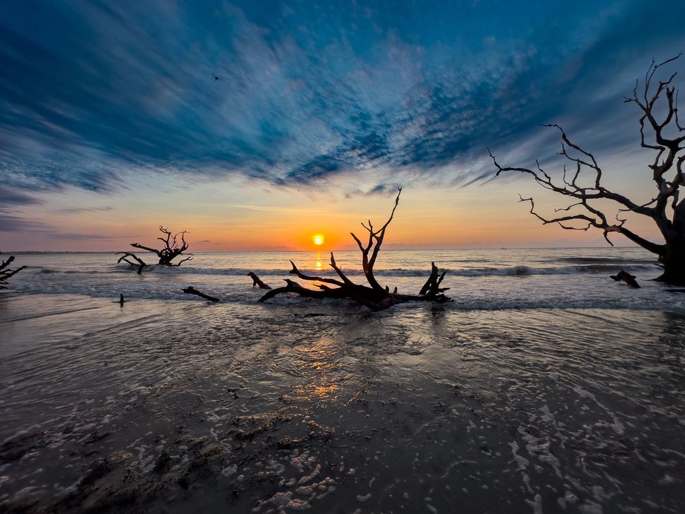 Photograph by Preethy Ganesan