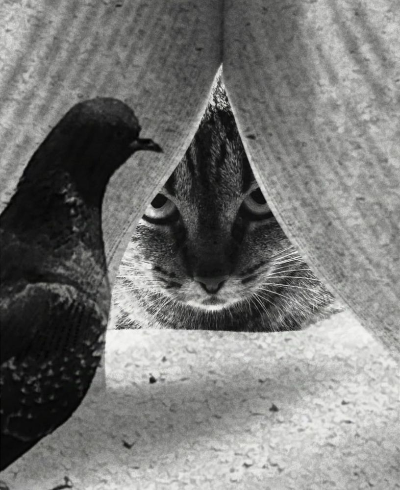 Photograph by Ия Дирко