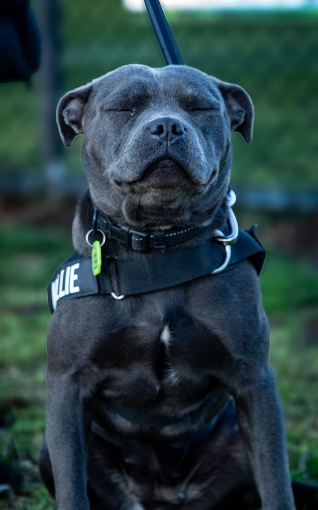 Photograph by Jason Walters