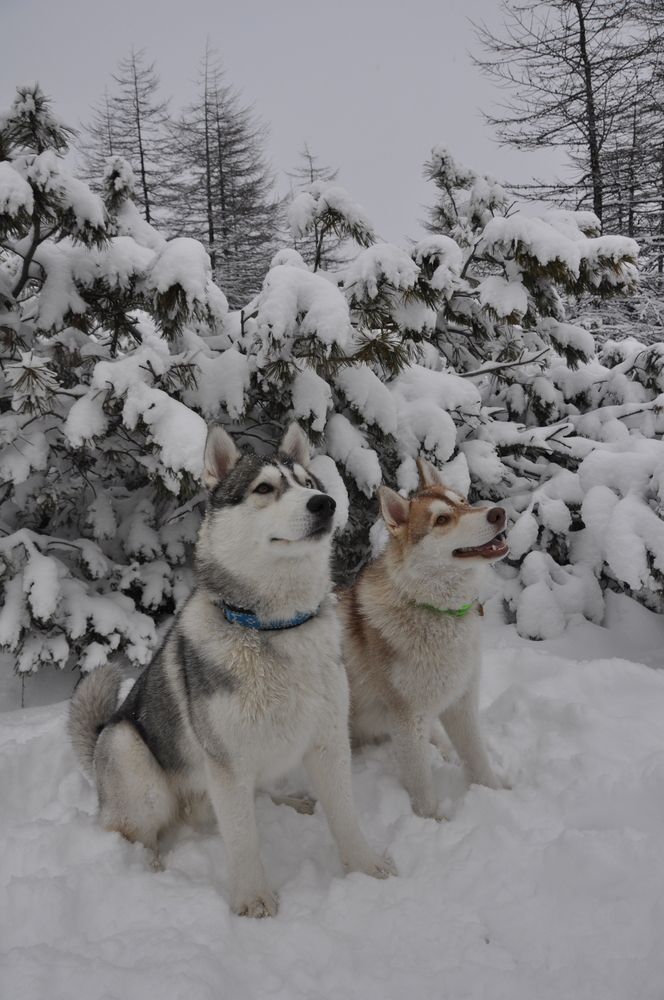 Photograph by Евгений Захаров