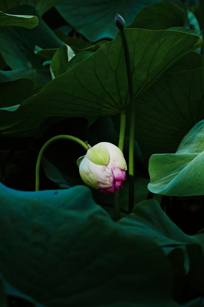 Photograph by Vlad Kutepov