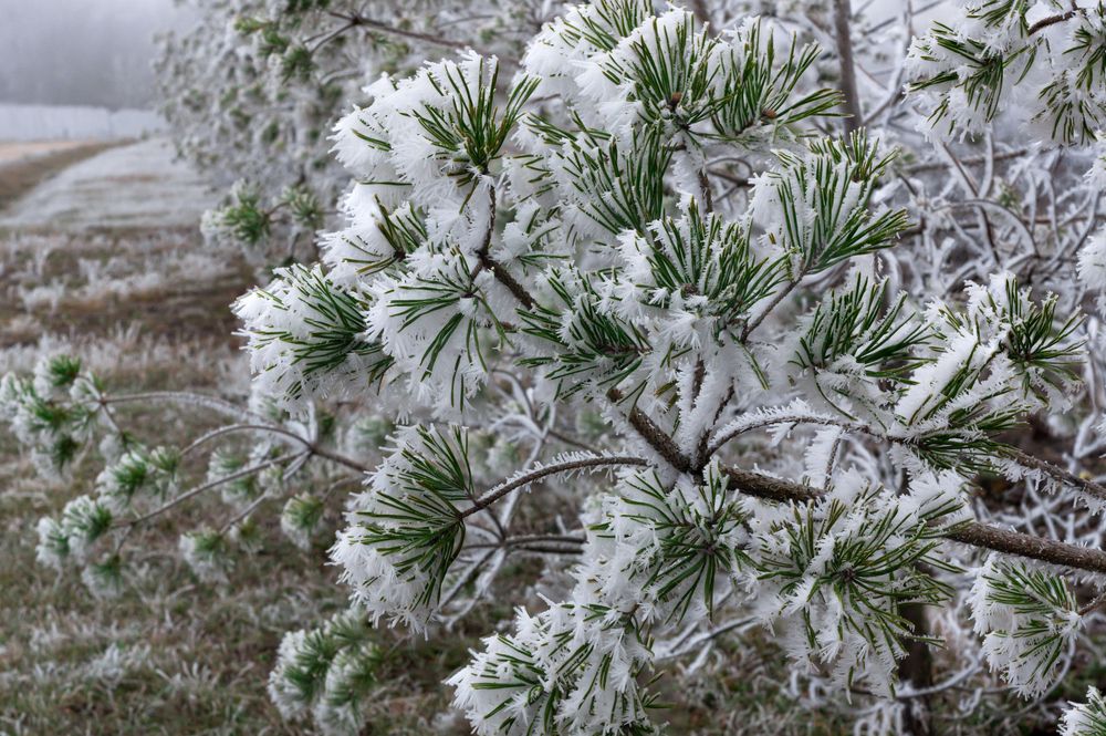 Photograph by Slavcan Vinnikov