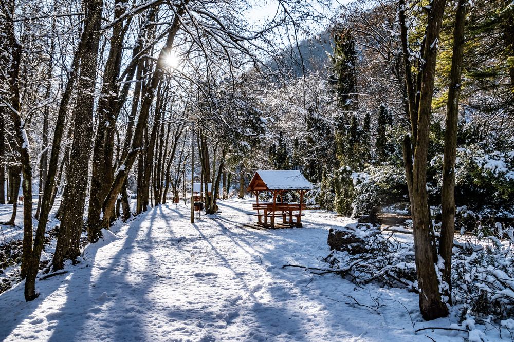 Sunshine and shadows