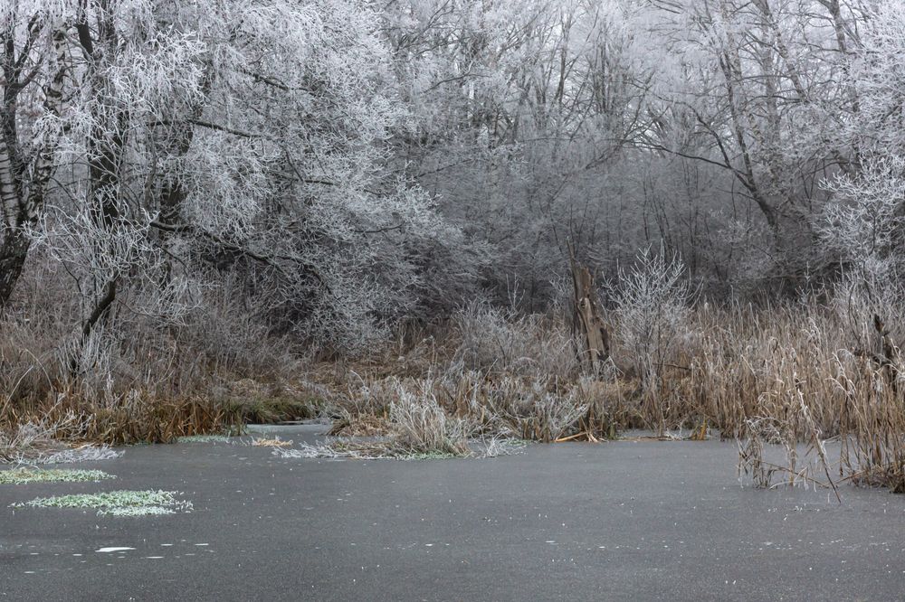 Photograph by Slavcan Vinnikov