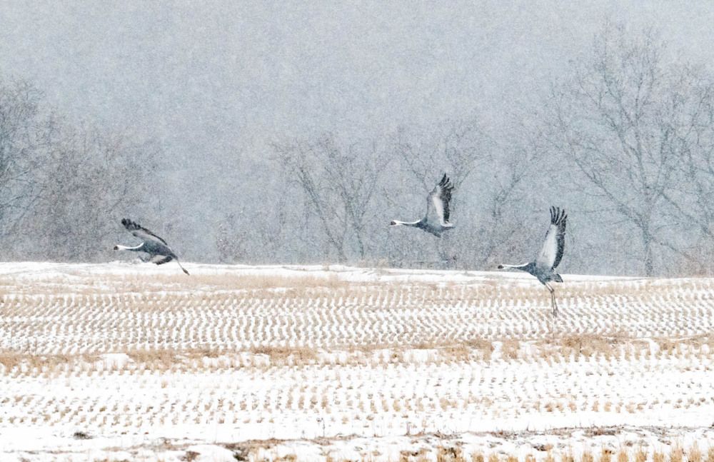 Photograph by Myunggyu Bae