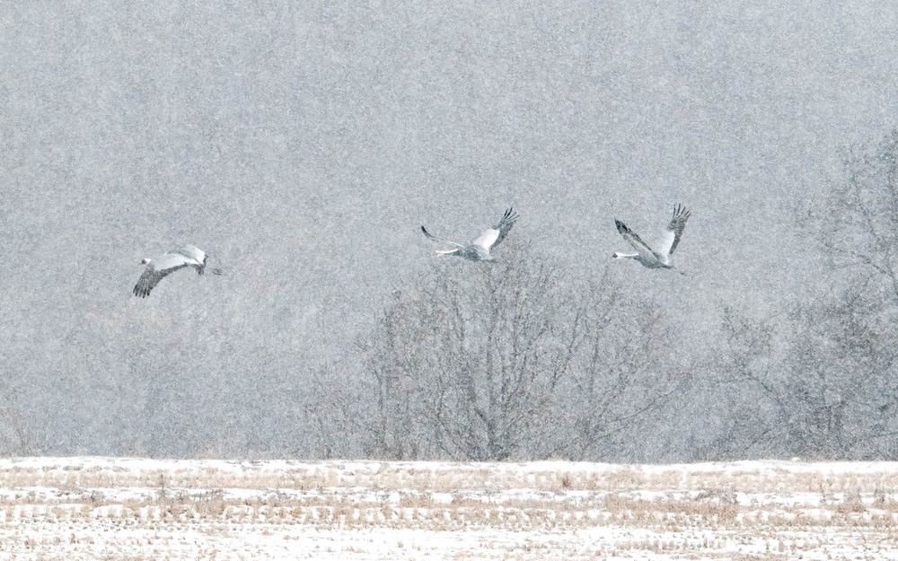 Photograph by Myunggyu Bae