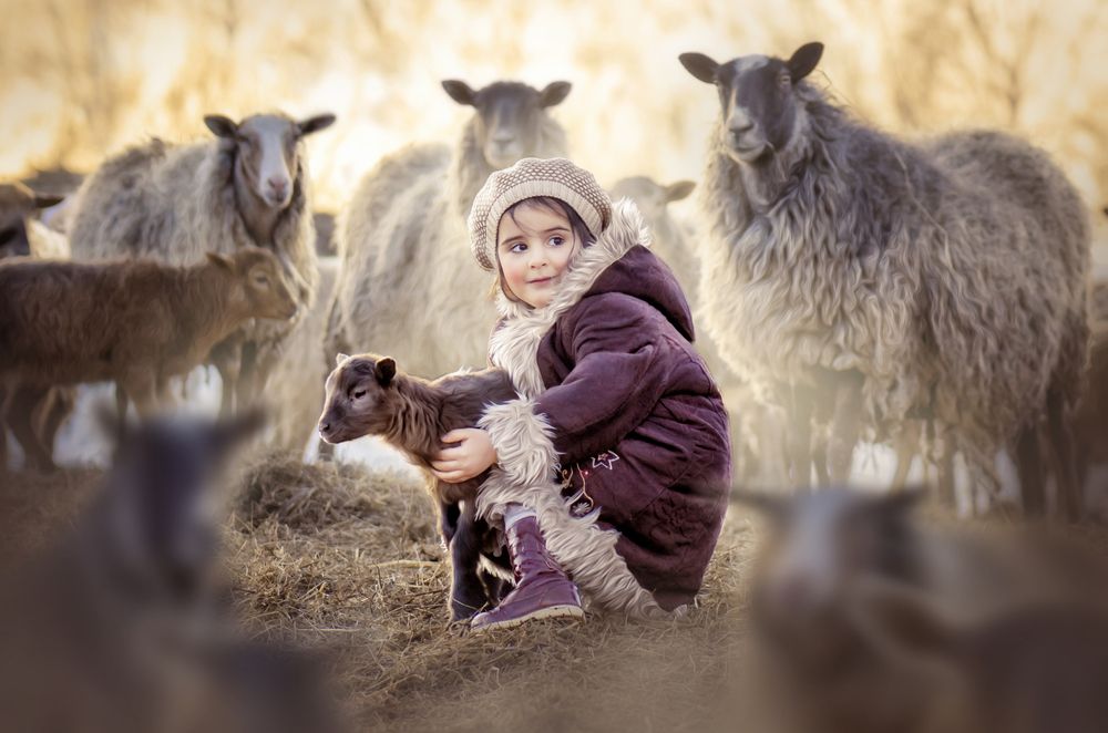 Photograph by Наталья Рыжова