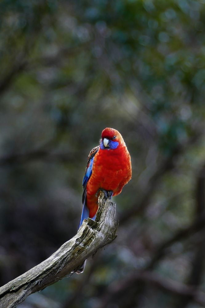 Photograph by Vlad Kutepov