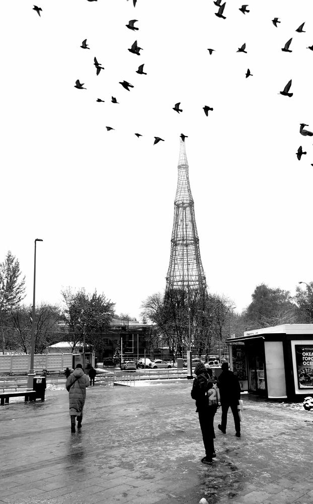 Фотография автора Виталий Шелехов