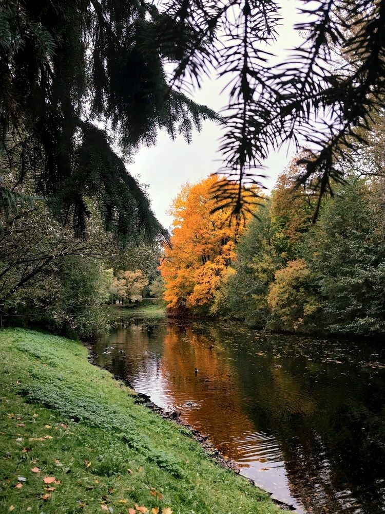 Photo #11856825