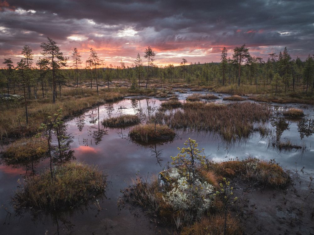 В предрассветный час