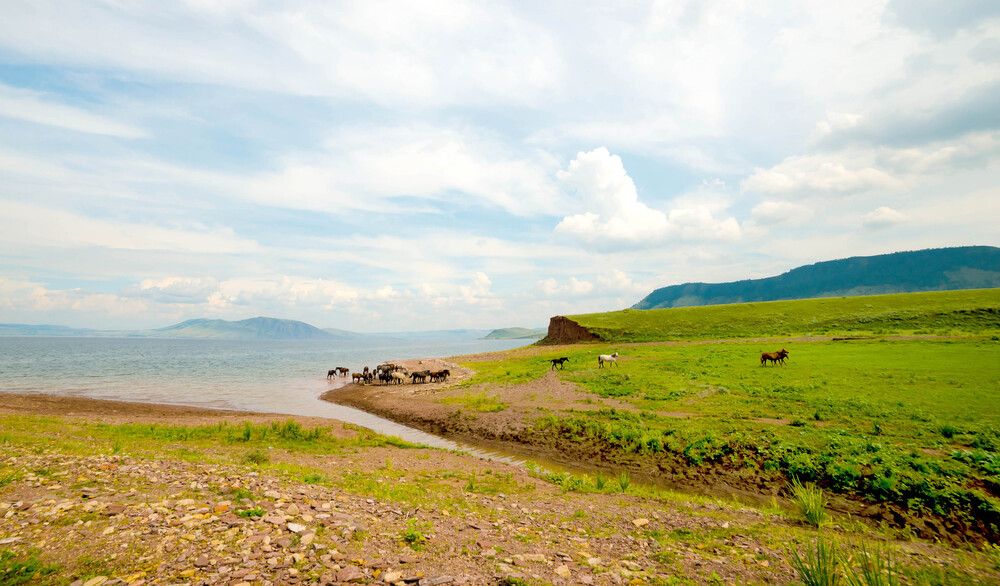 На водопое.
