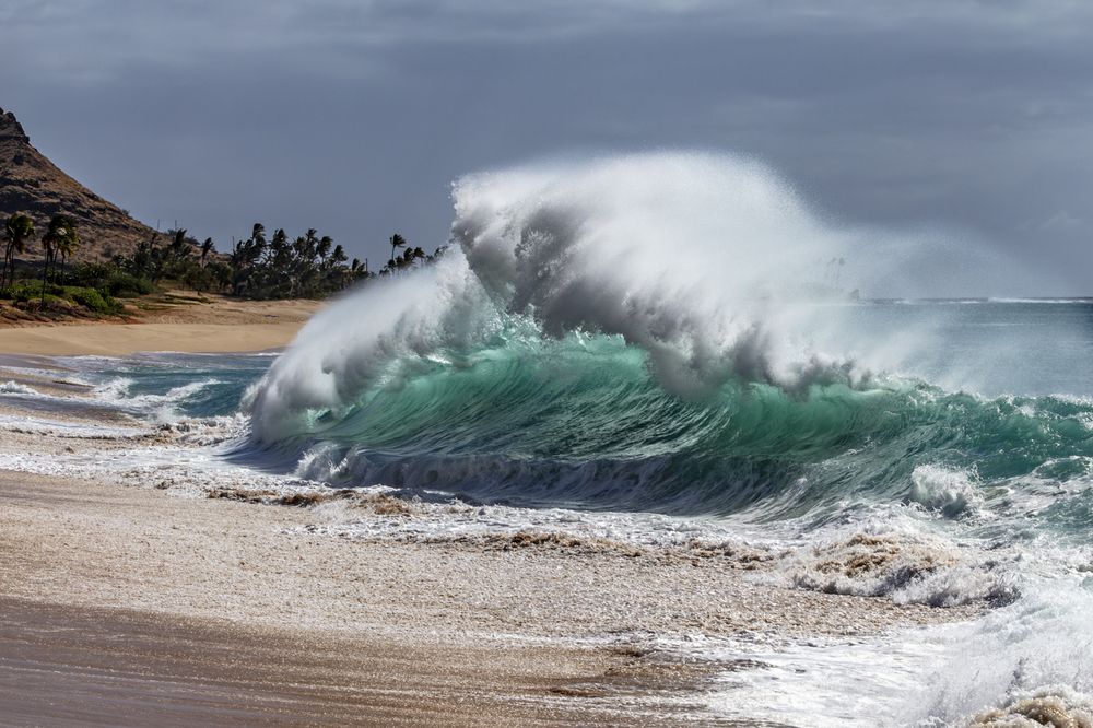 Hawaiian Wave