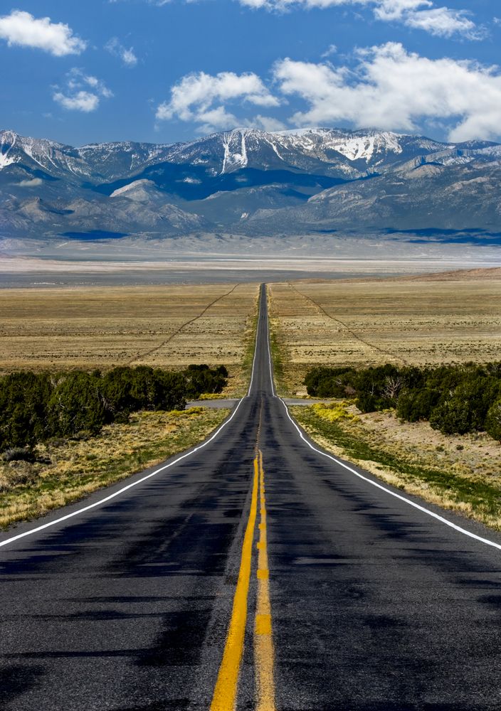 Photograph by Tamara Neal