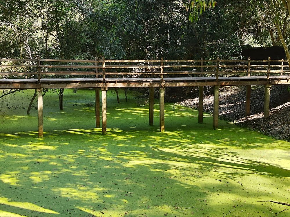 La passerelle des adieux