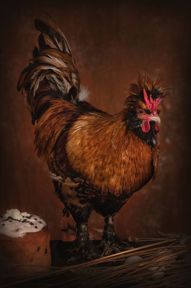 Фотография автора Наталья Копылова