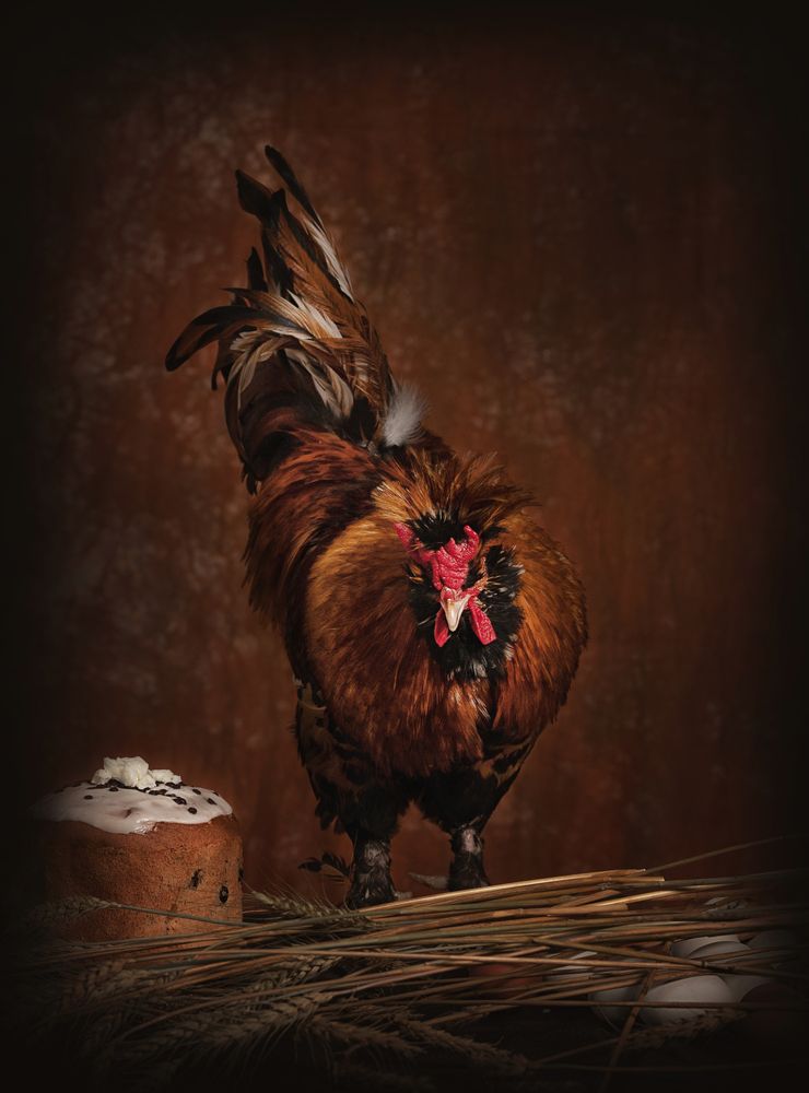 Фотография автора Наталья Копылова