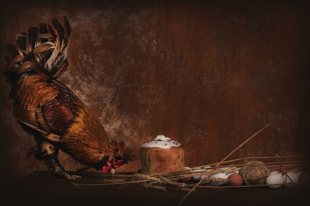 Фотография автора Наталья Копылова