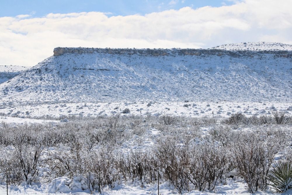 Snow on the Mountain
