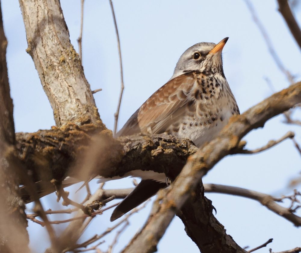 Photograph by Виктор Владимиров