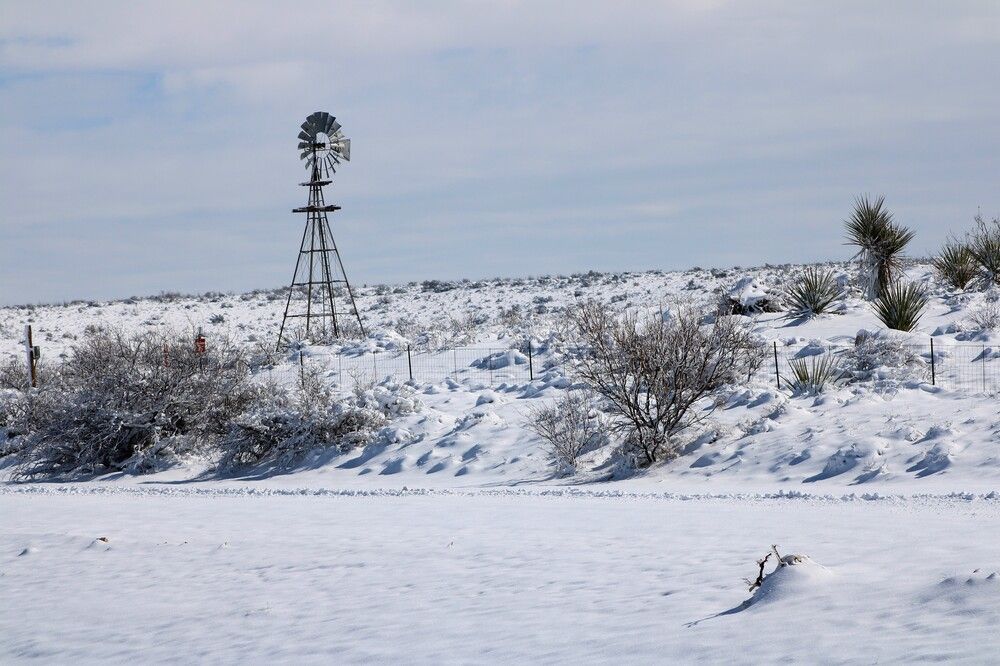 Photograph by Abelardo Capelo