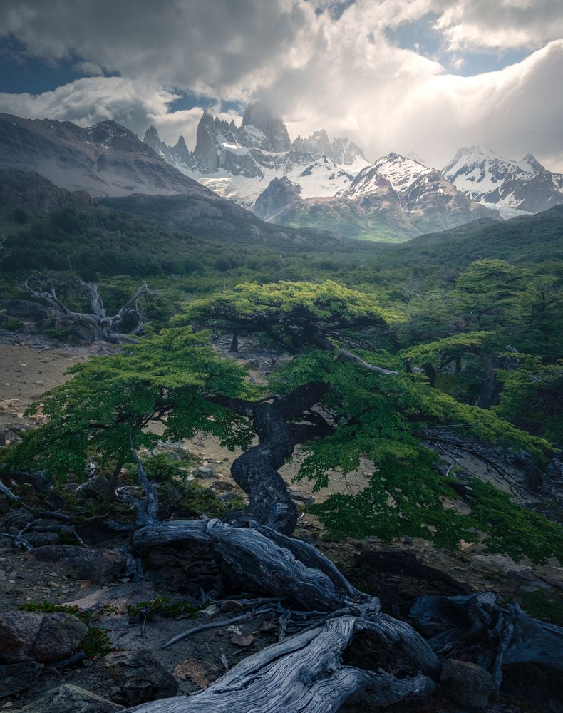 Фотография автора Matias López