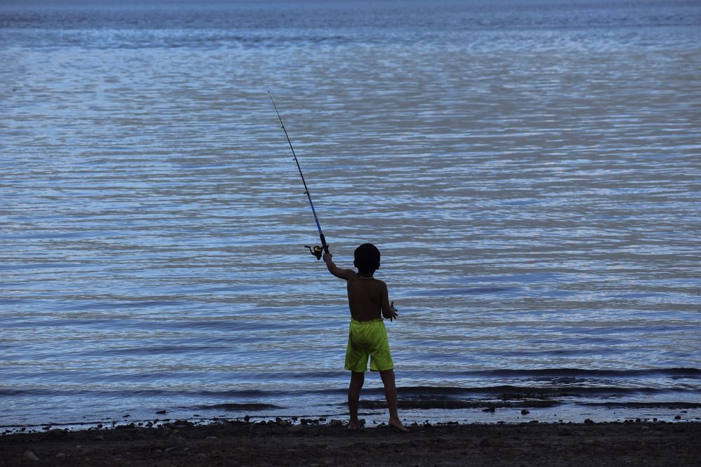 Фотография автора Patricio E. Ayala Espinoza