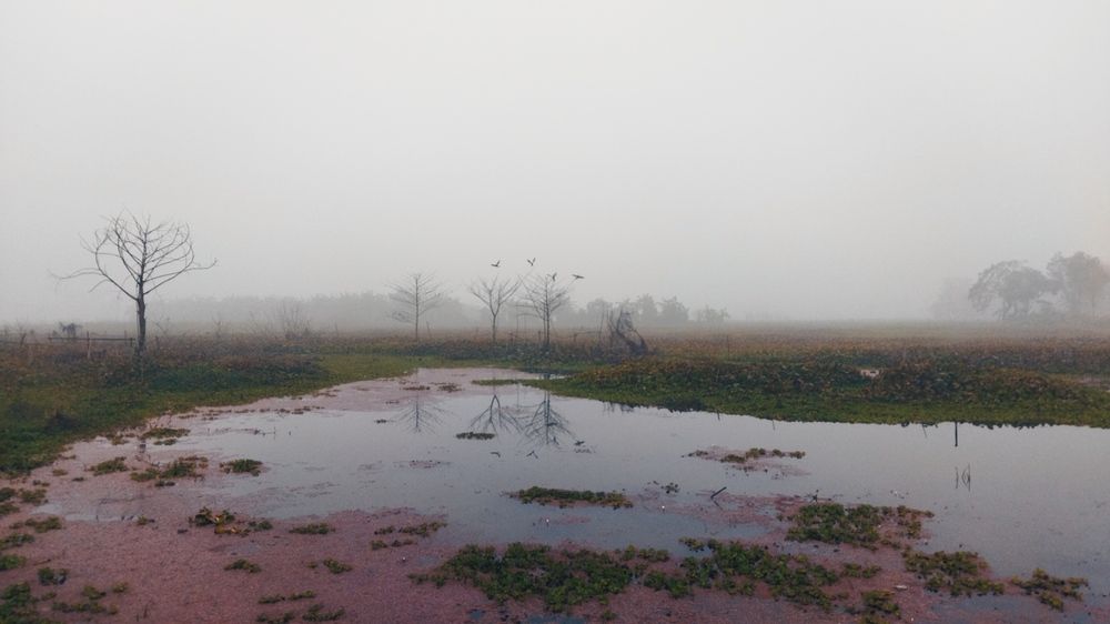 Photograph by Dr.Kajal Bakshi