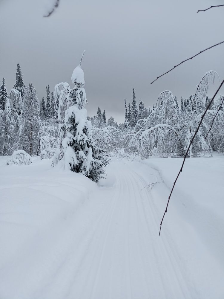 Photograph by Елена