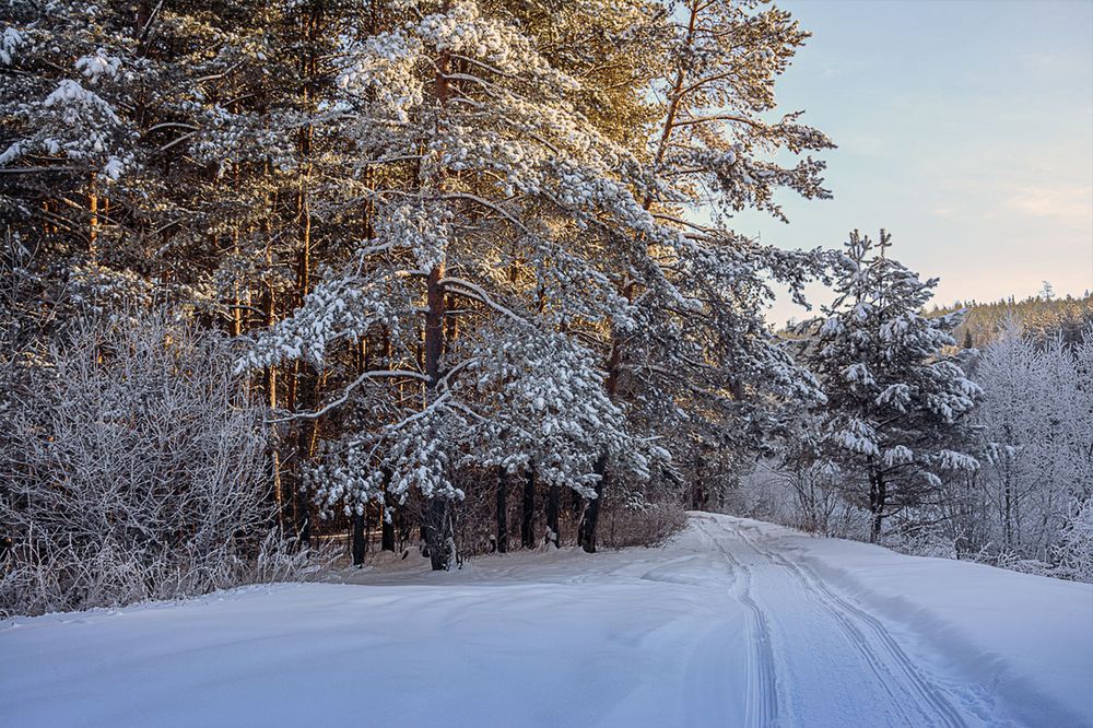 Photograph by Sergey Lebedev