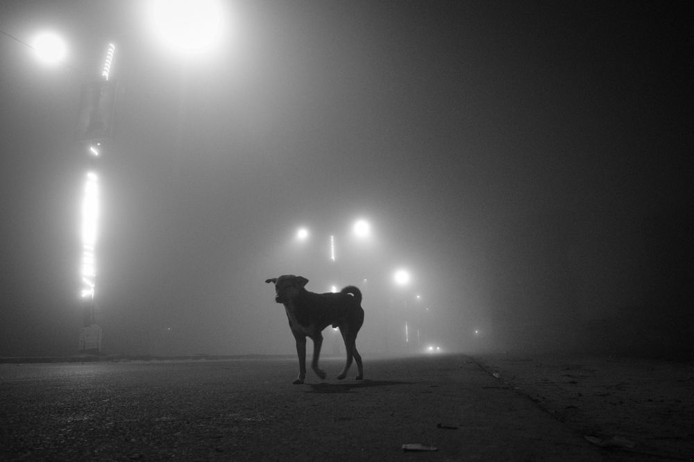 Photograph by Sanjib Sarkar