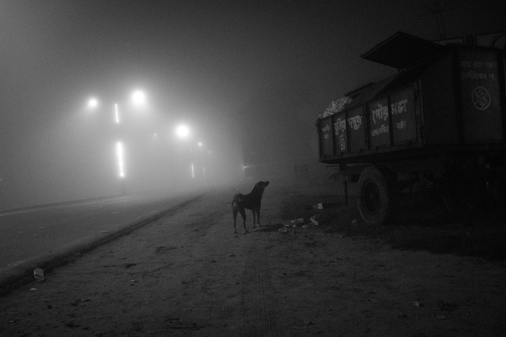 Photograph by Sanjib Sarkar